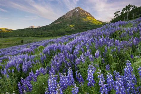 30 Colorado Hot Springs: A Quick Guide | Colorado.com