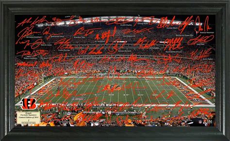 32 best Cincinnati Bengals Autographs & Sports Collectibles images on ...