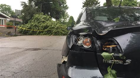 Quebec City microburst knocks down trees, damages property | CBC News