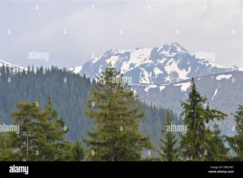 Maramures mountains hi-res stock photography and images - Alamy