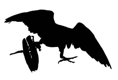 SVG > falcon bird of prey - Free SVG Image & Icon. | SVG Silh