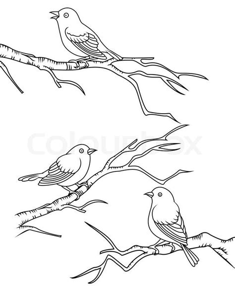 Branch drawing, Bird line drawing, Birds on tree drawing