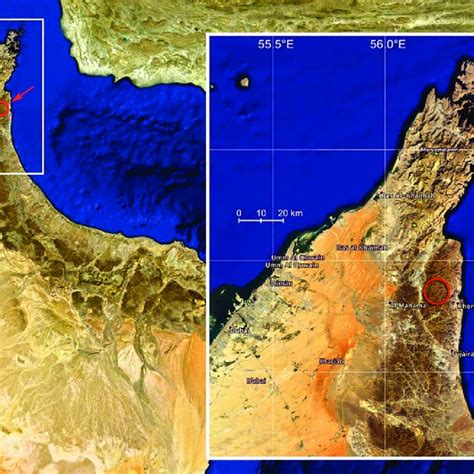 Regional map showing the UAE and the location of Wadi Wurayah National ...