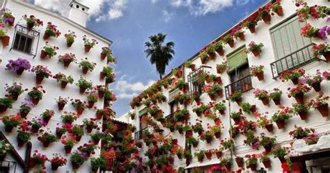 Wonderful Flower Festival of Cordoba - Spain | Information Hub Of Besties