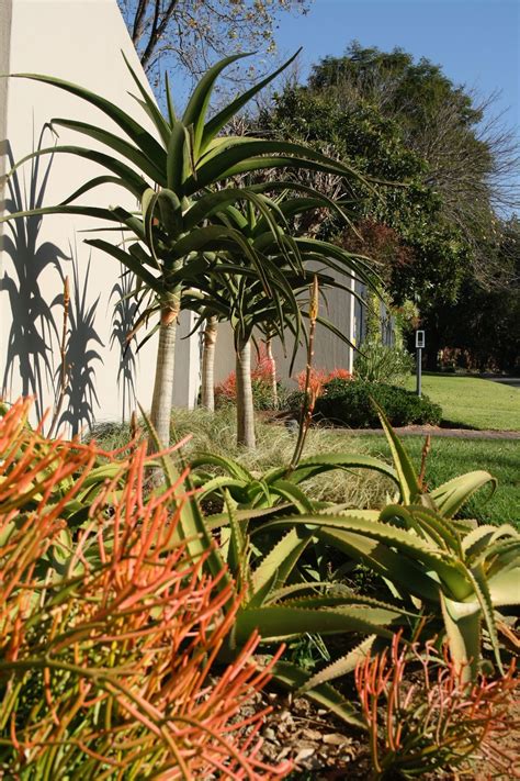 South African Garden Design