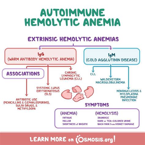 What are hemolytic anemia symptoms? - MEDizzy