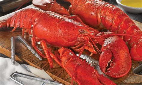 Live Maine Lobsters & Meal Kit | Lobster recipes, Meal kit, Live maine lobster