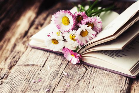 Check Out The 15 Best Books About Flowers In 2024