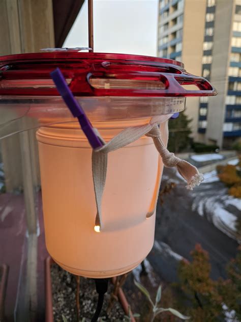 DIY Hummingbird Feeder Heater for Vancouver Anna's Hummingbirds - Projects - VHS Talk ...