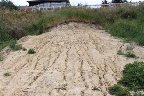 Rill erosion, in loess soil on a Lyttelton Harbour/Whakaraupō building ...