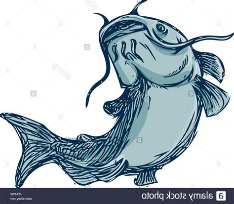 Catfish clipart blue catfish, Catfish blue catfish Transparent FREE for download on ...