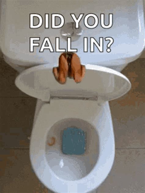 Dive Toilet GIF – Dive Toilet – GIFs entdecken und teilen