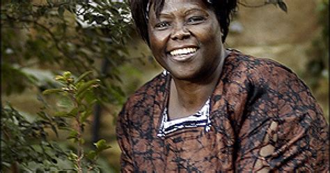 Nobel Prize Winner Wangari Maathai Examines Challenge for Africa | WBEZ ...