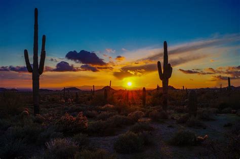 South Mountain Sunset Saguaros by Casey Stanford | Arizona travel, Beautiful nature pictures ...