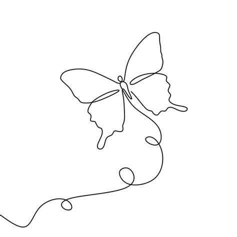 Butterfly Line Drawing Outline