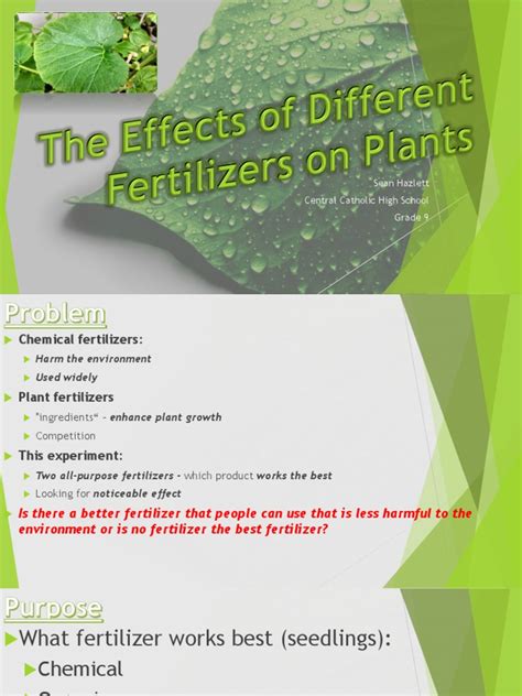 The Effects of Different Fertilizers On Plants | PDF | Cucurbita | Fertilizer