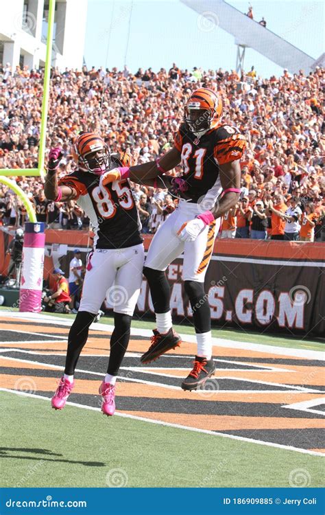 Chad Johnson and Terrell Owens Editorial Image - Image of touchdown, helmet: 186909885