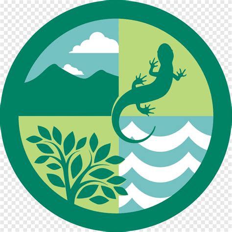 Ecosystem Forest ecology Logo Natural environment, Edu Ecosystem, leaf, grass png | PNGEgg