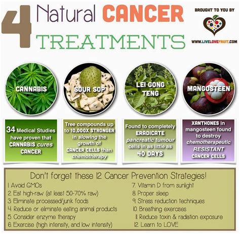 How to Use Natural Remedies for Cancer