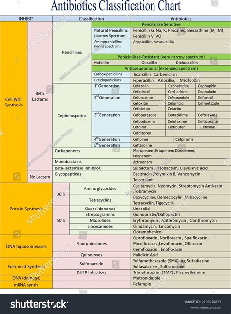 Antibiotics Classification Chart Helpful Medical Students Stock Illustration 2198750627 ...