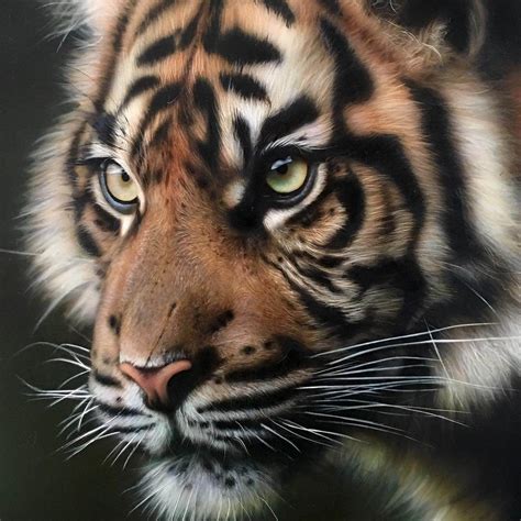 Realistic Airbrush Animal Paintings | Animal paintings, Air brush ...