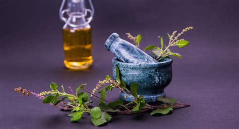 These 12 Benefits of Tulsi Leaves will Blow Your Mind!