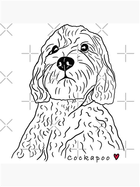 "Cockapoo line drawing " Poster for Sale by DesignedByEmma1 | Redbubble