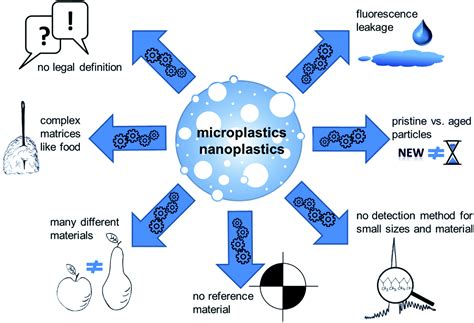 Micro- and nanoplastics – current state of knowledge with the focus on ...