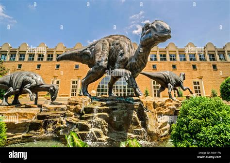 A family of bronze dinosaurs — lophorhothon atopus — frolic in the Dinosaur Plaza at Fernbank ...