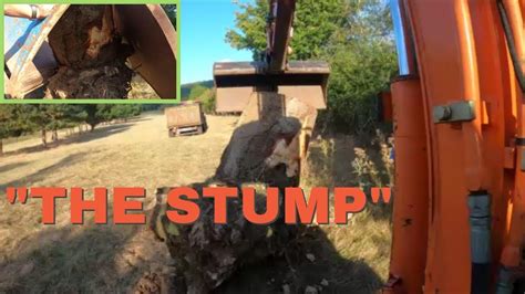 25/08/22 "THE STUMP" - YouTube