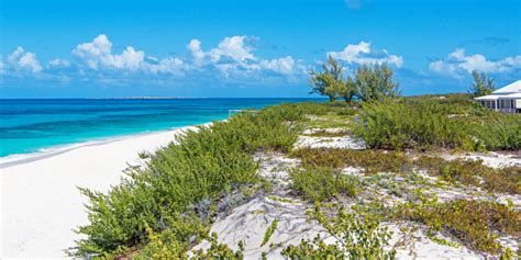 Salt Cay Hotels and Villas | Visit Turks and Caicos Islands