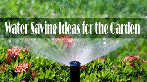 Basic Tips and Water Saving Ideas for the Garden - Healthy Flat