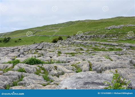 Limestone Pavement, Malham Cove, Yorkshire, UK Stock Image - Image of ...