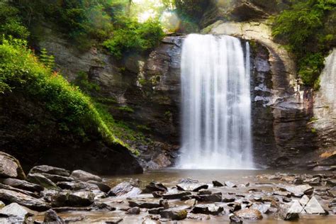 Looking Glass Falls - Asheville Trails