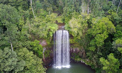 Amazon Jungle Waterfalls and Cave | Manaus Shore Excursion | Brazil Cruise Tours