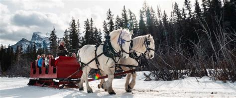 Sleigh Ride + Banff Gondola | Discover Banff Tours