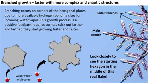 How do snowflakes form, and why are they all unique? | Fox Weather