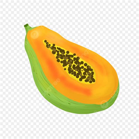 Papaya Cartoon Black And White / White Papaya Black And White Stock Photos Images Alamy - I'm a ...