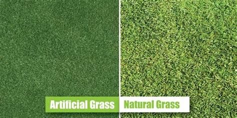 Artificial grass Vs natural grass cost - Synthetic Grass Living