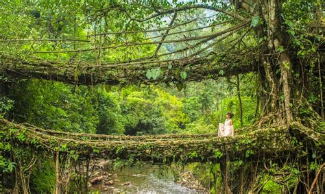 The Ultimate Guide To Cherrapunji: Discover Spectacular Waterfalls ...