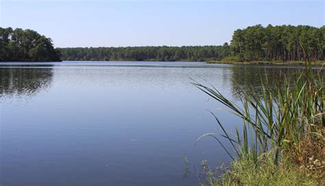 Bear Lake, Florida