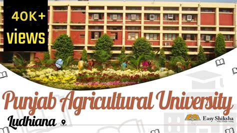 Punjab Agricultural University, Ludhiana | Campus Tour | Ranking | Courses | Fees | EasyShiksha ...