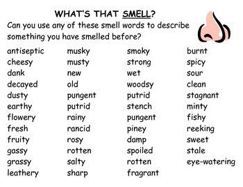 What's That Smell? - Word Wall with Smell/Scent Words | Writing words ...