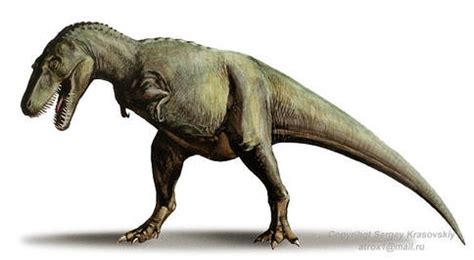 Gorgosaurus - Everything Dinosaurs