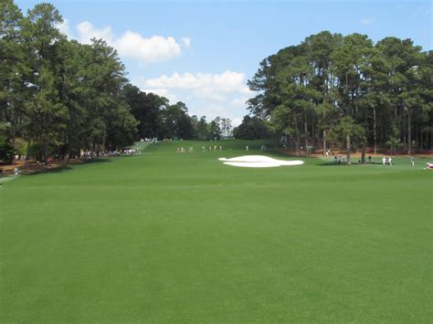 1st Hole at Augusta National: Tea Olive