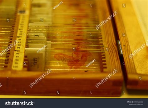 Microscope Histological Studies Medicine School Stock Photo 1498026365 ...