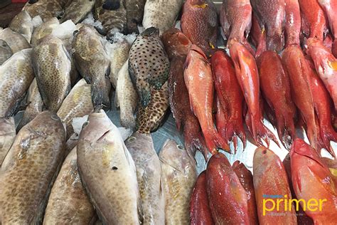 Market Guide to Common Fishes in the Philippines | Philippine Primer