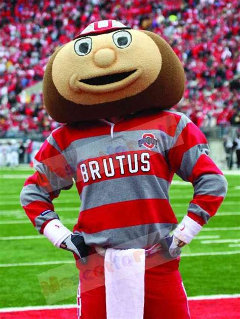 College University Brutus Buckeye Mascot Costume Cheerleaders Cartoon