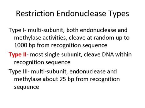 Restriction Enzymes Restriction Enzymes Enzyme that