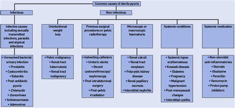 Pyuria & sterile pyuria causes, symptoms, diagnosis and treatment